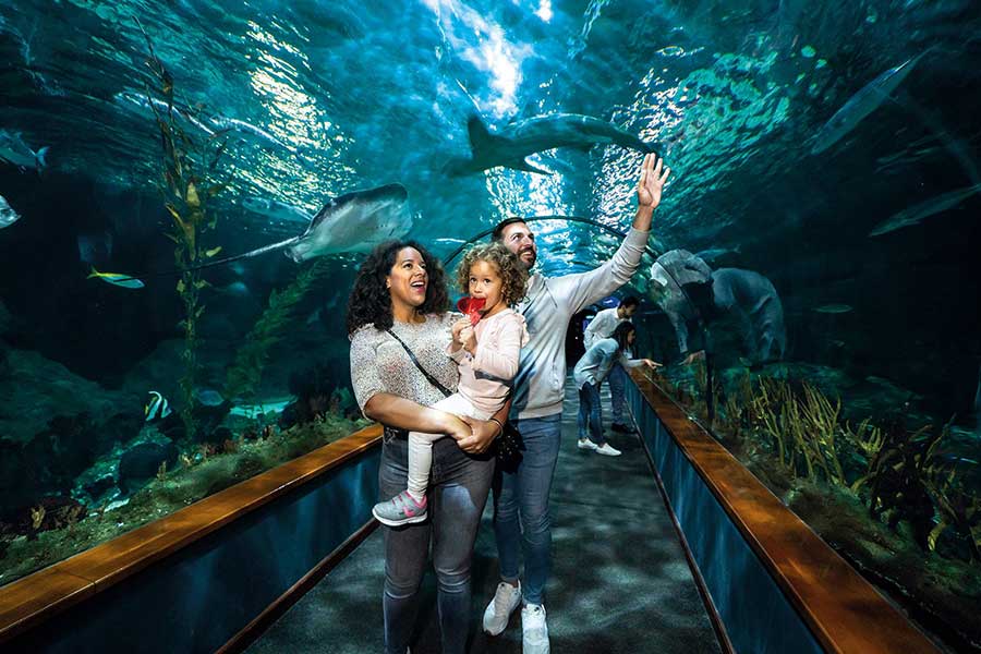 peque_acuarium-de-tenerife