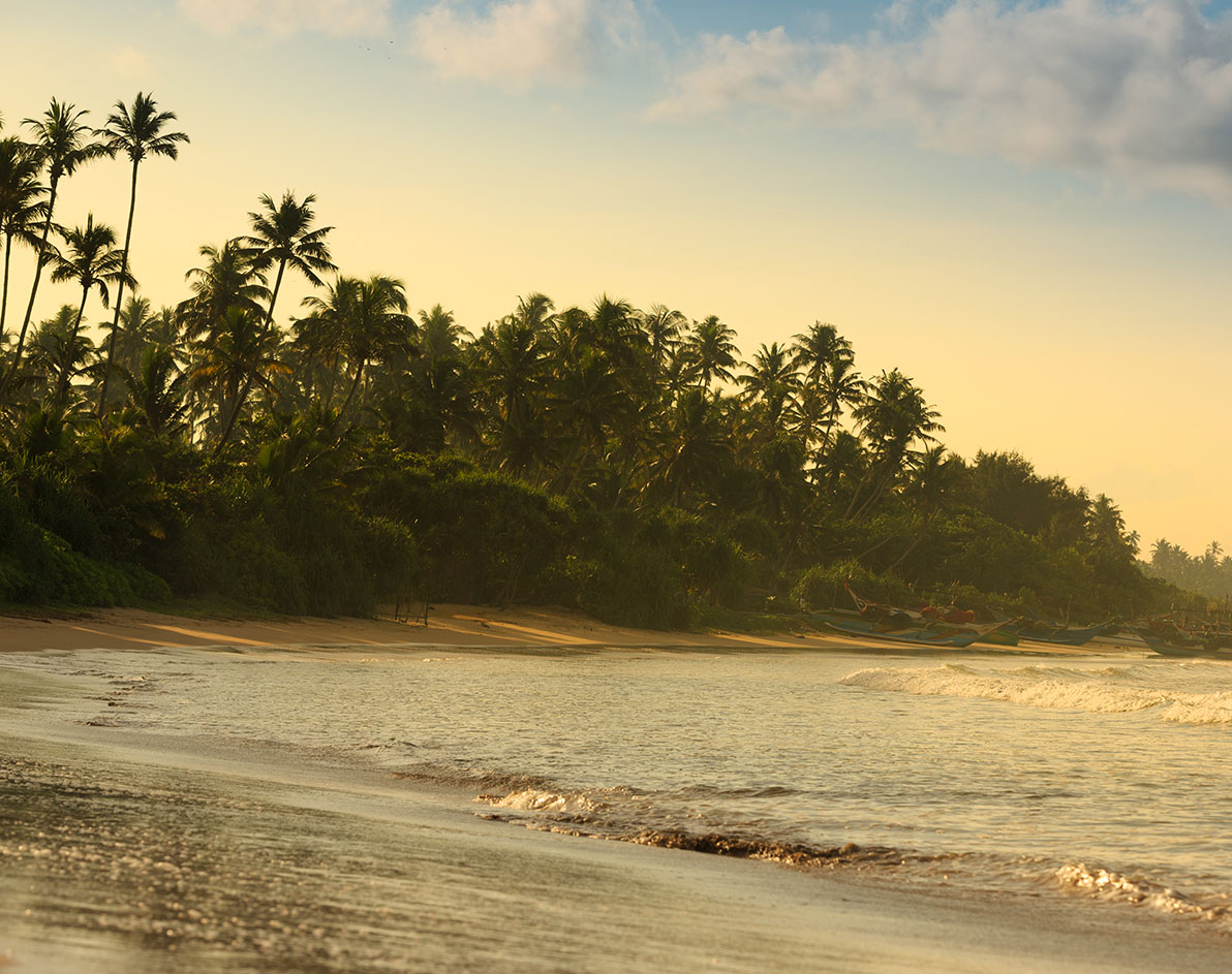 Playa paradisíaca de Srilanka