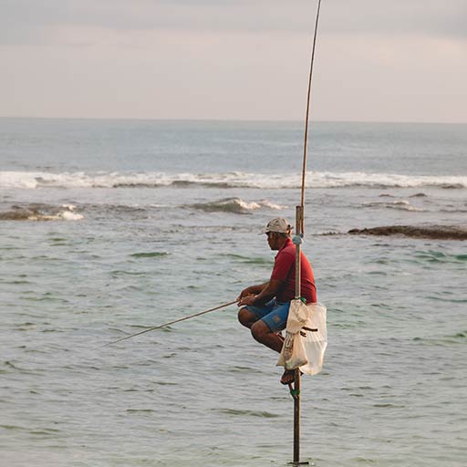 pescador sobre pertiga en srilanka